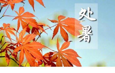 宁晓璧名字测试打分